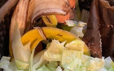 Compost containing banana peels, lettuce, and other organic matter