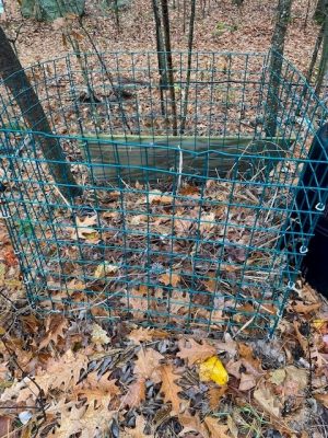 Wire composter with leaves inside
