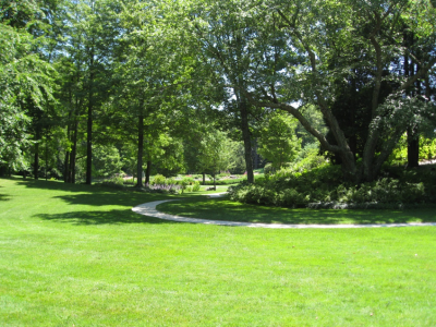 Turf lawn in landscape with tree and path